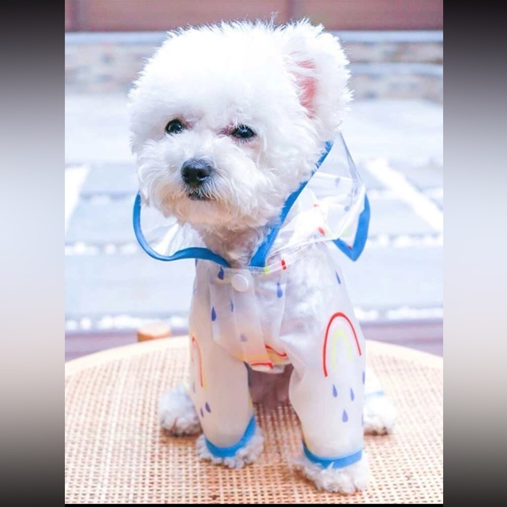 Rainbow Print Pet Raincoat - Picture 4 of 7